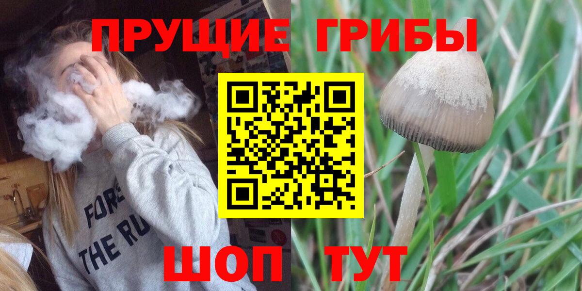 Канабис  Камышлов  Вход с VPN  Гашиш  COCAIN  МЕФ   Марихуана  Экстази  Codein 